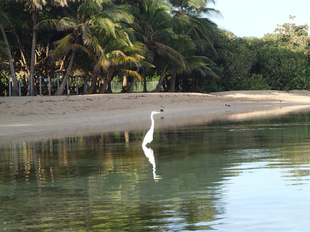 Ababor Suites Guesthouse Vieques Buitenkant foto